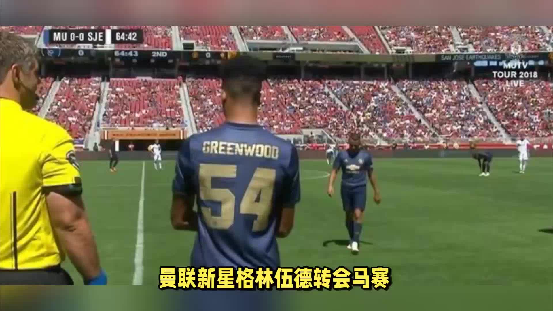 多个