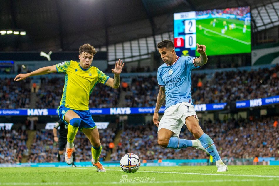 都可能成为 都可能成为